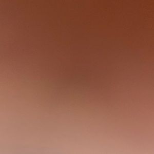 Meet your Posher, Lexi